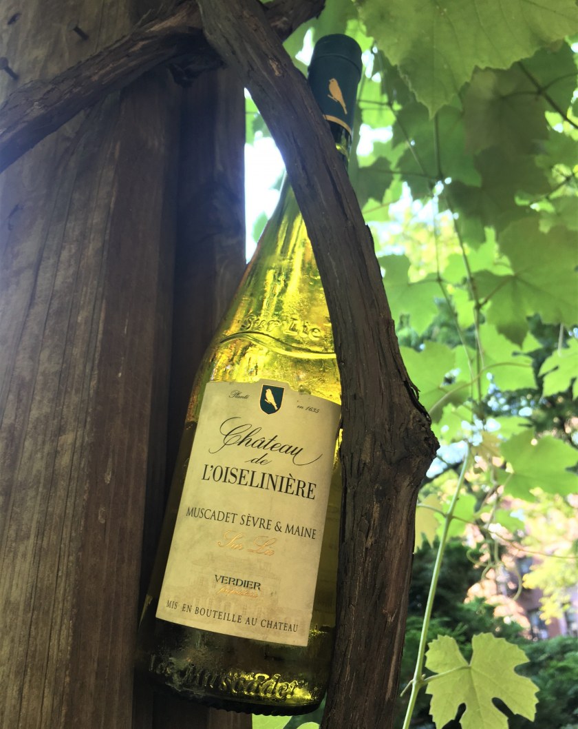 Image Not Found On Media Library