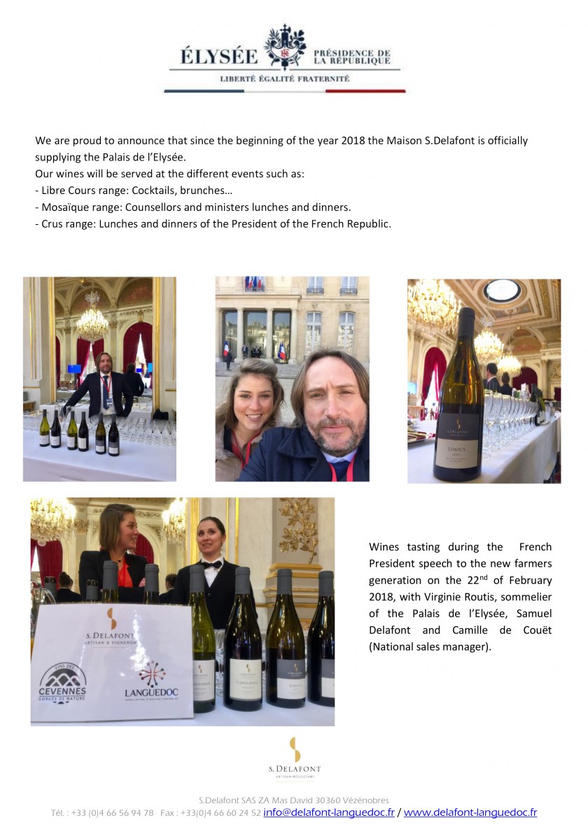 Image Not Found On Media Library