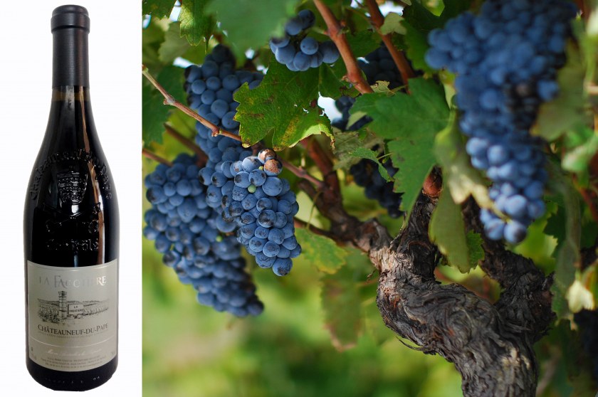 Image Not Found On Media Library