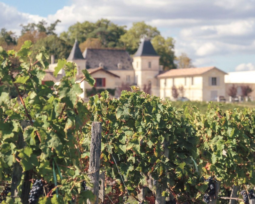 Image Not Found On Media Library