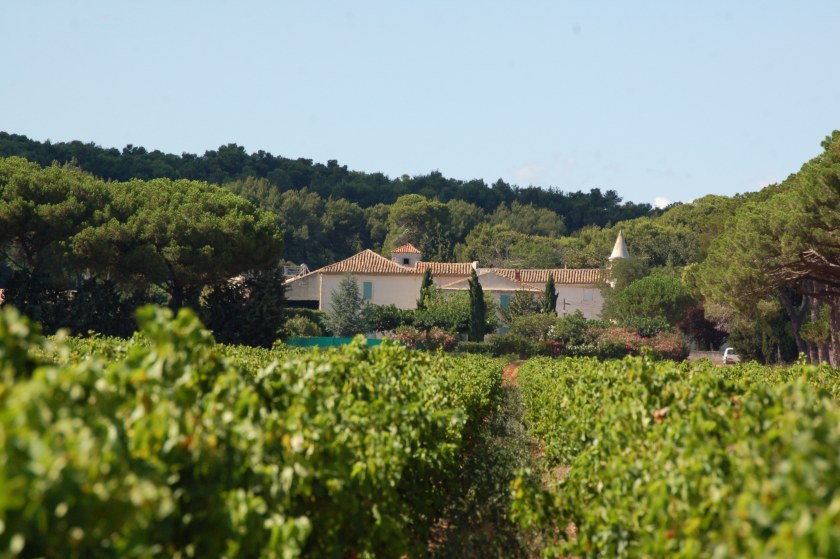 Image Not Found On Media Library