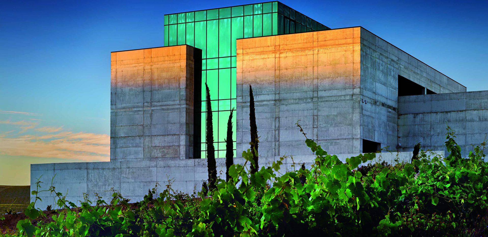 Image Not Found On Media Library