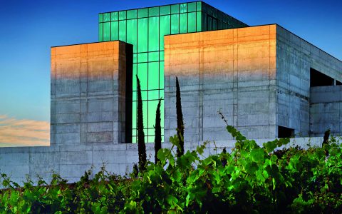 Image Not Found On Media Library